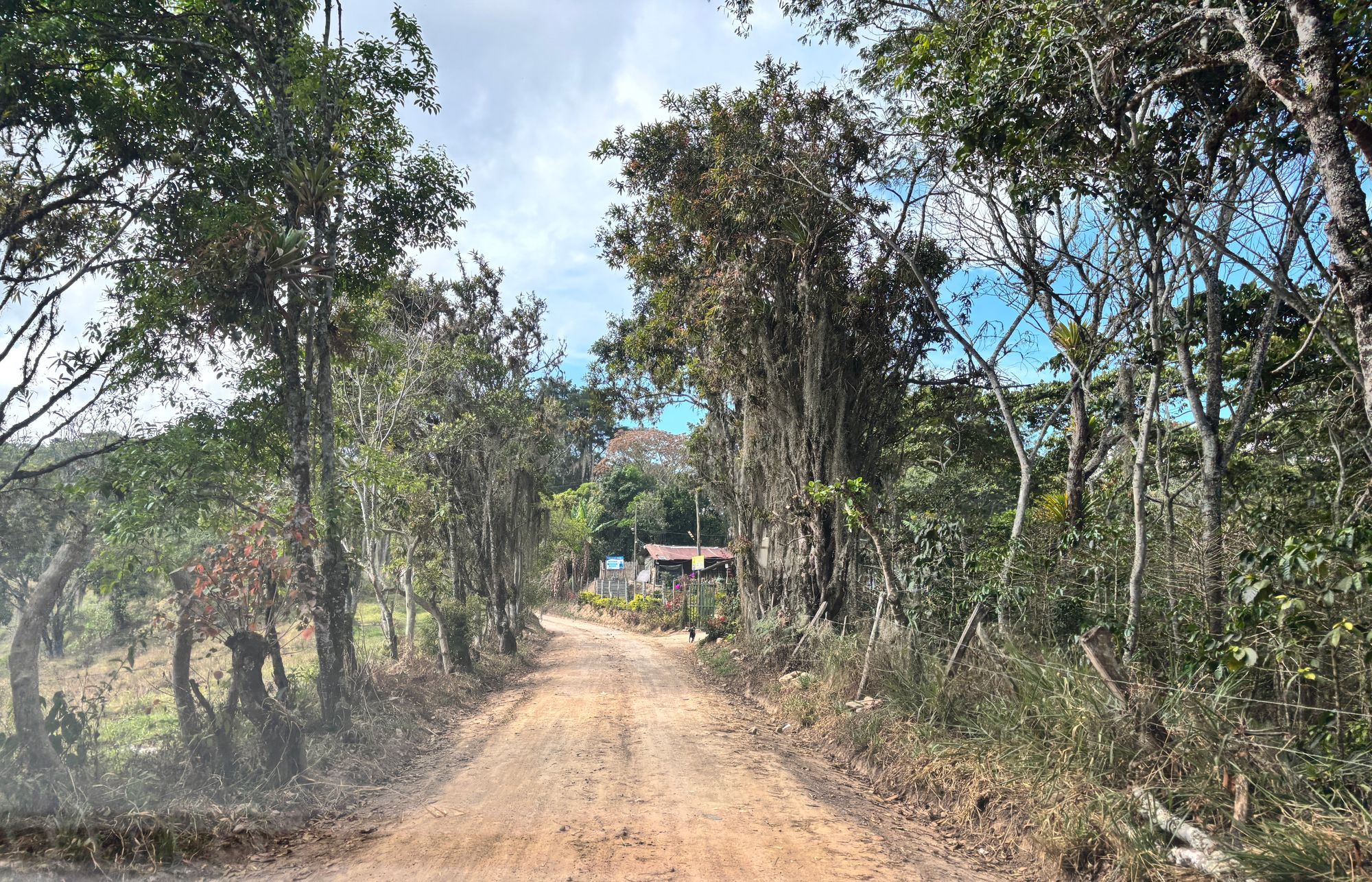 Más de 20 km de vías rurales reciben mantenimiento en San Gil