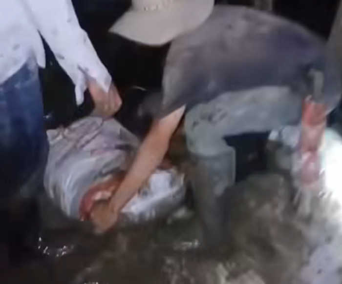 Puerto Wilches clama auxilio mientras el Estado brilla por su ausencia