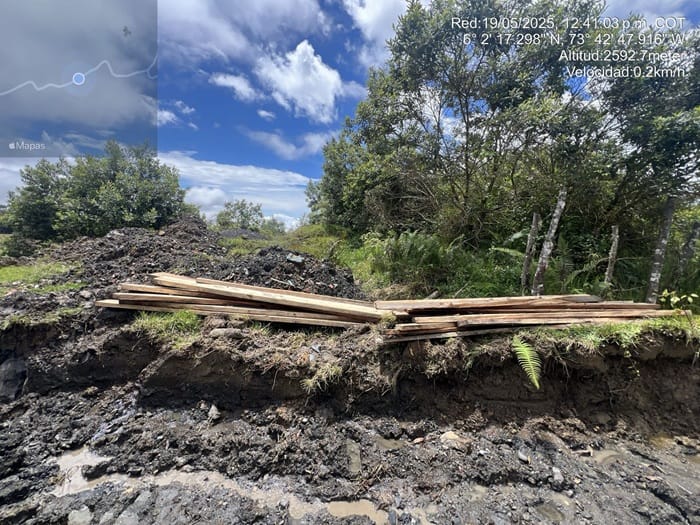 Suspendieron tala que amenazaba nacimientos de agua en Vélez