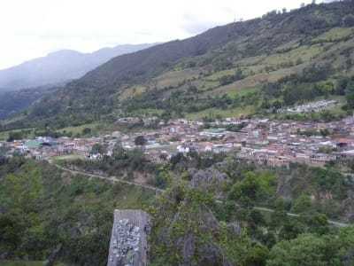 Reactivaron trabajos rurales en Concepción