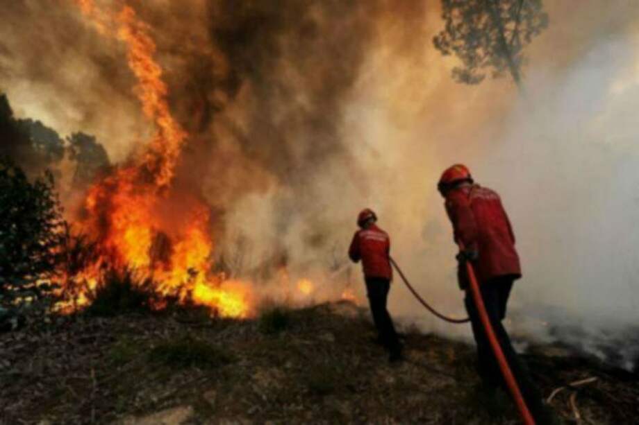 Video- Voraz incendio consume hectáreas en Matanza, Santander