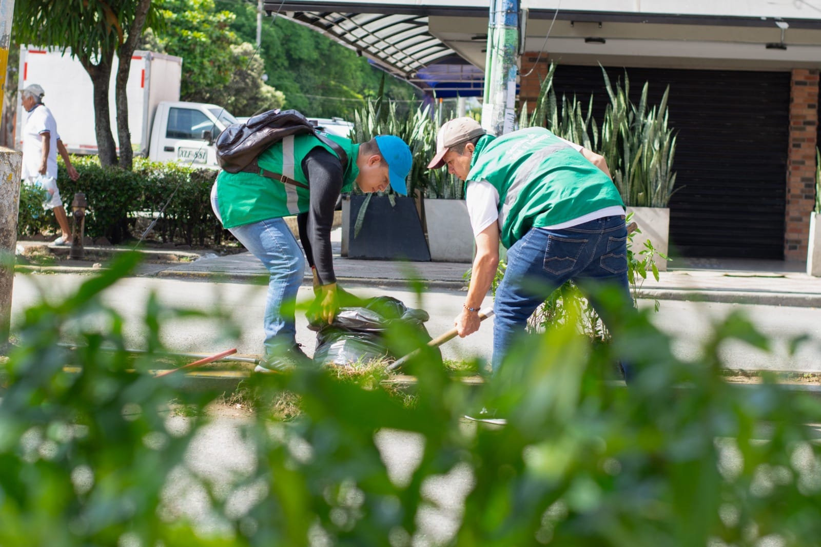 Recuperada área degradada con plantas en el barrio Toledo Plata