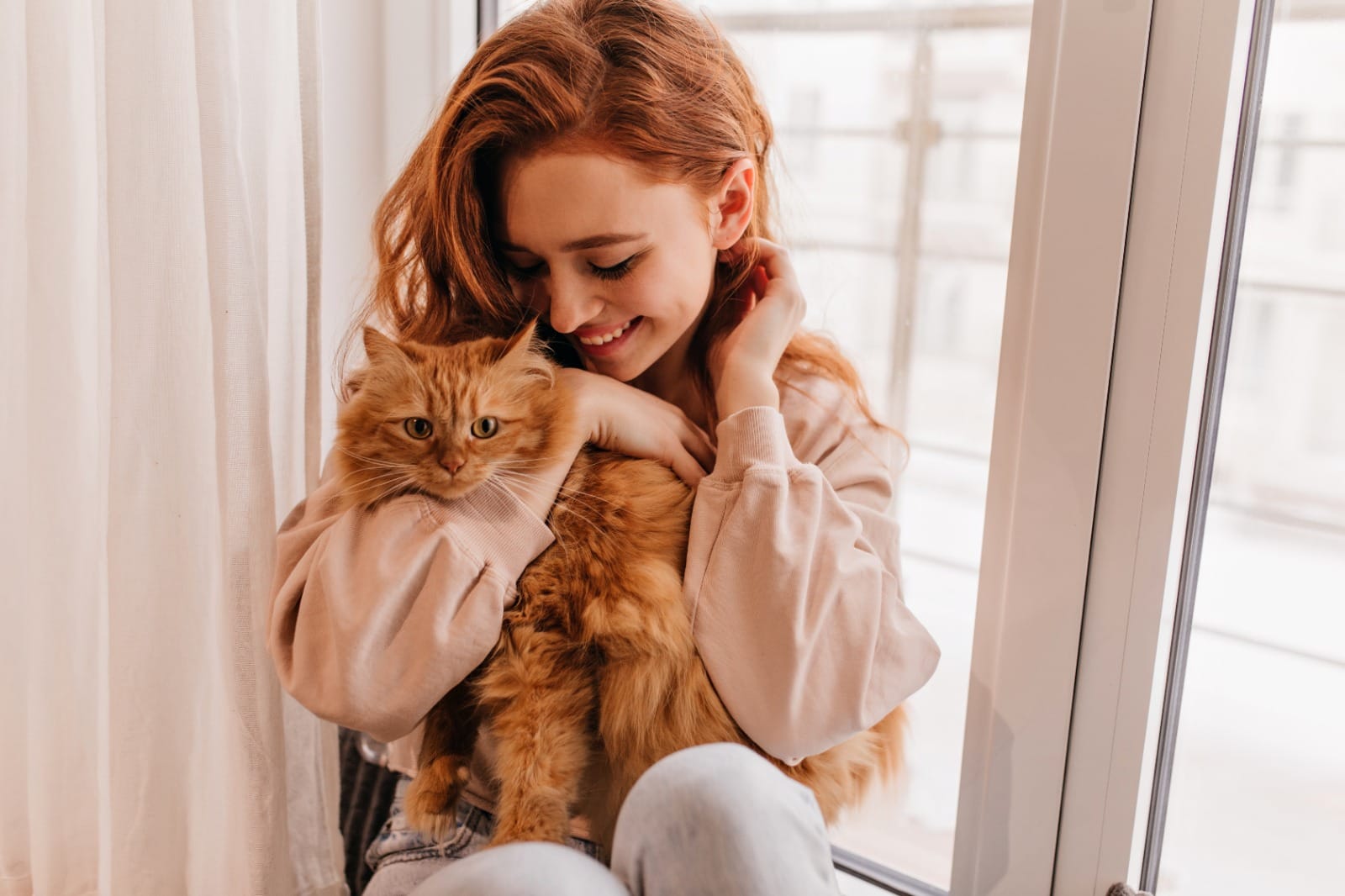 Colombia celebra el Día del Gato con avances en bienestar felino y productos innovadores