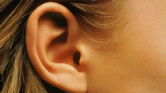 Una guía auditiva para la aventura: ¡que ningún sonido te detenga!
