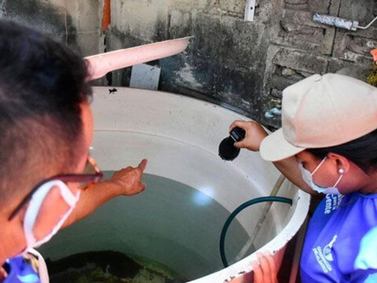 Aumentan casos de dengue en Santander aunque son menos que hace un año