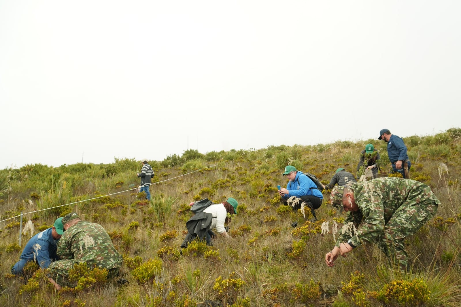 La unión hace la conciencia: Ejército, AMB, la CDMB y Bomberos de Floridablanca se unen por el renacer del páramo de Berlín