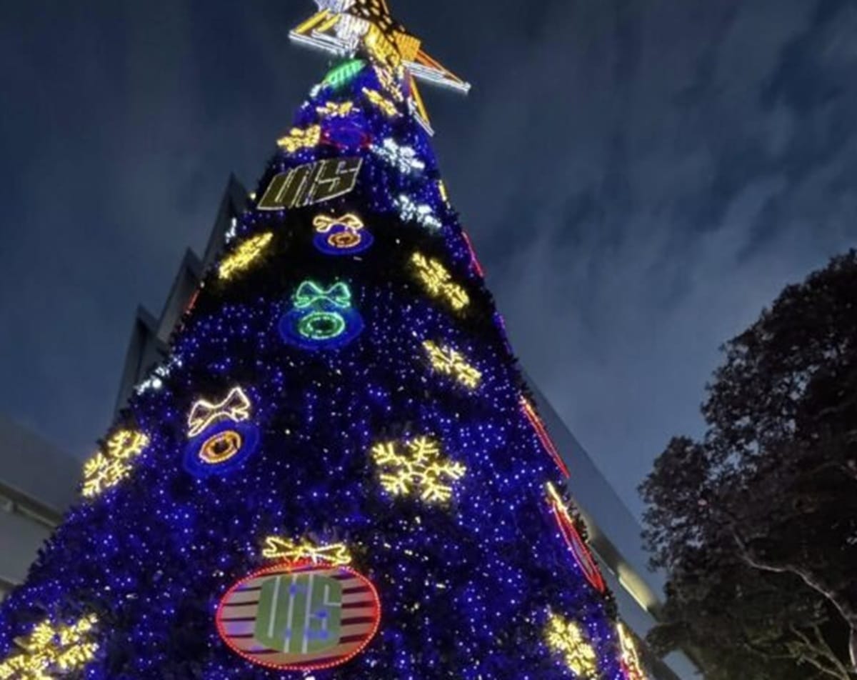 La UIS empezó a dar cátedra con su Alumbrado Navideño
