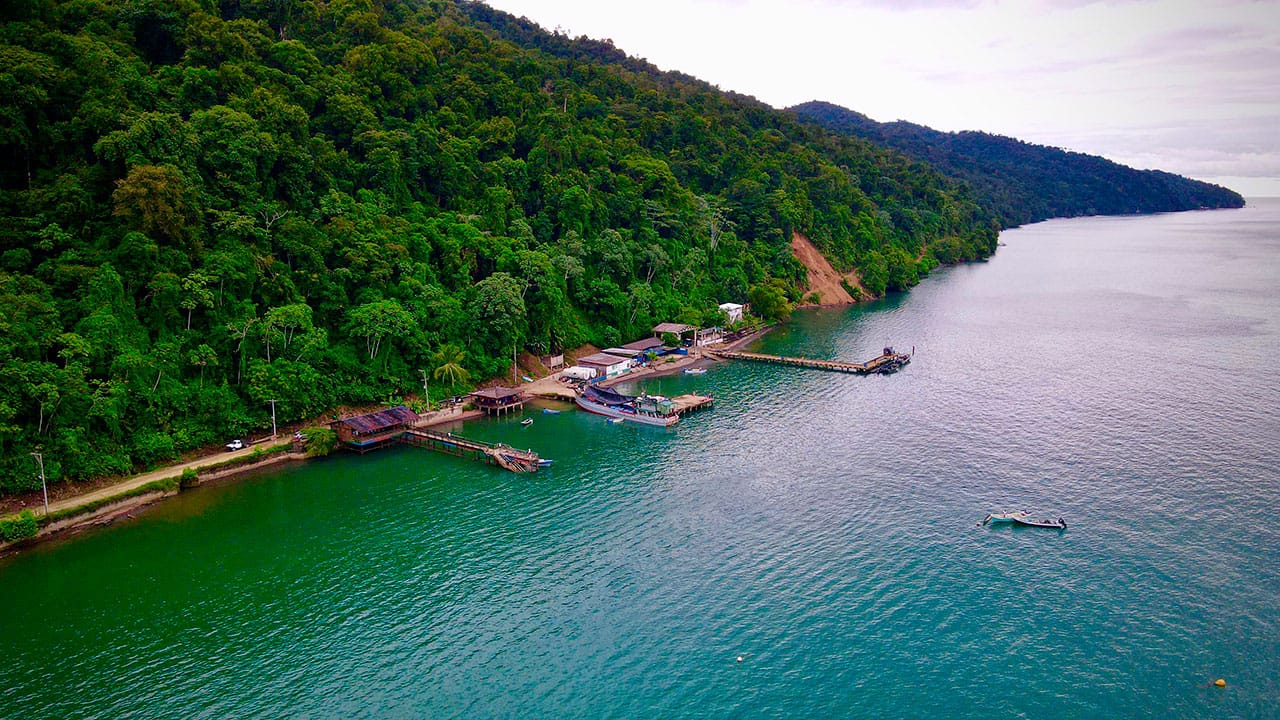 Gobierno proyecta inversión en transporte de $321 billones