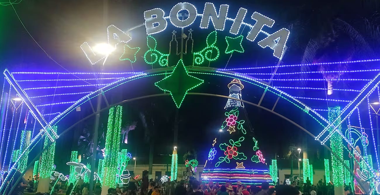 Concejal Cavanzo pide investigación sobre contrato del alumbrado navideño 2025 en Bucaramanga