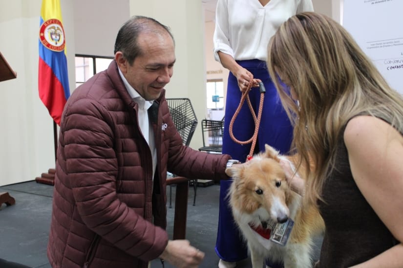 Cajas de compensación permitirán mascotas de soporte emocional a sus empleados