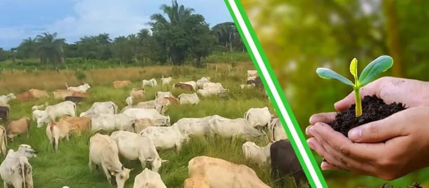 Curso gratuito sobre ganadería sostenible y regenerativa