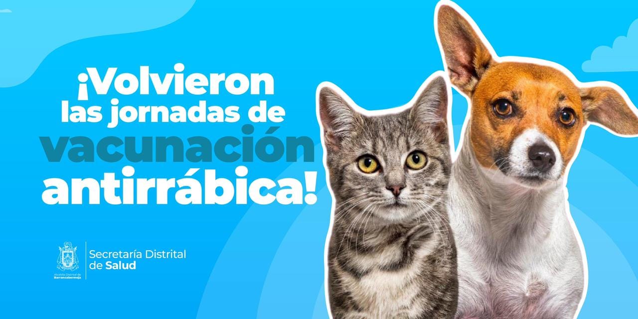 Jornadas gratuitas de vacunación antirrábica canina y felina en el puerto petrolero