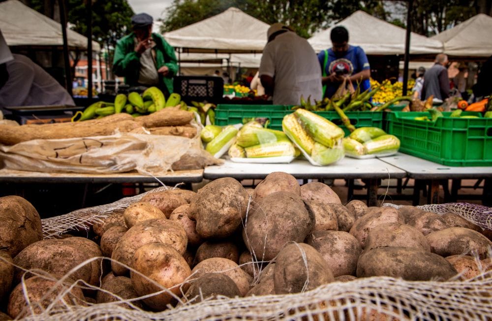 Venda sin intermediarios: inscríbase a la gran rueda de negocios