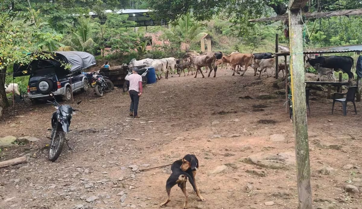Corregimiento Plan de Armas de  Landázuri está hundiendose