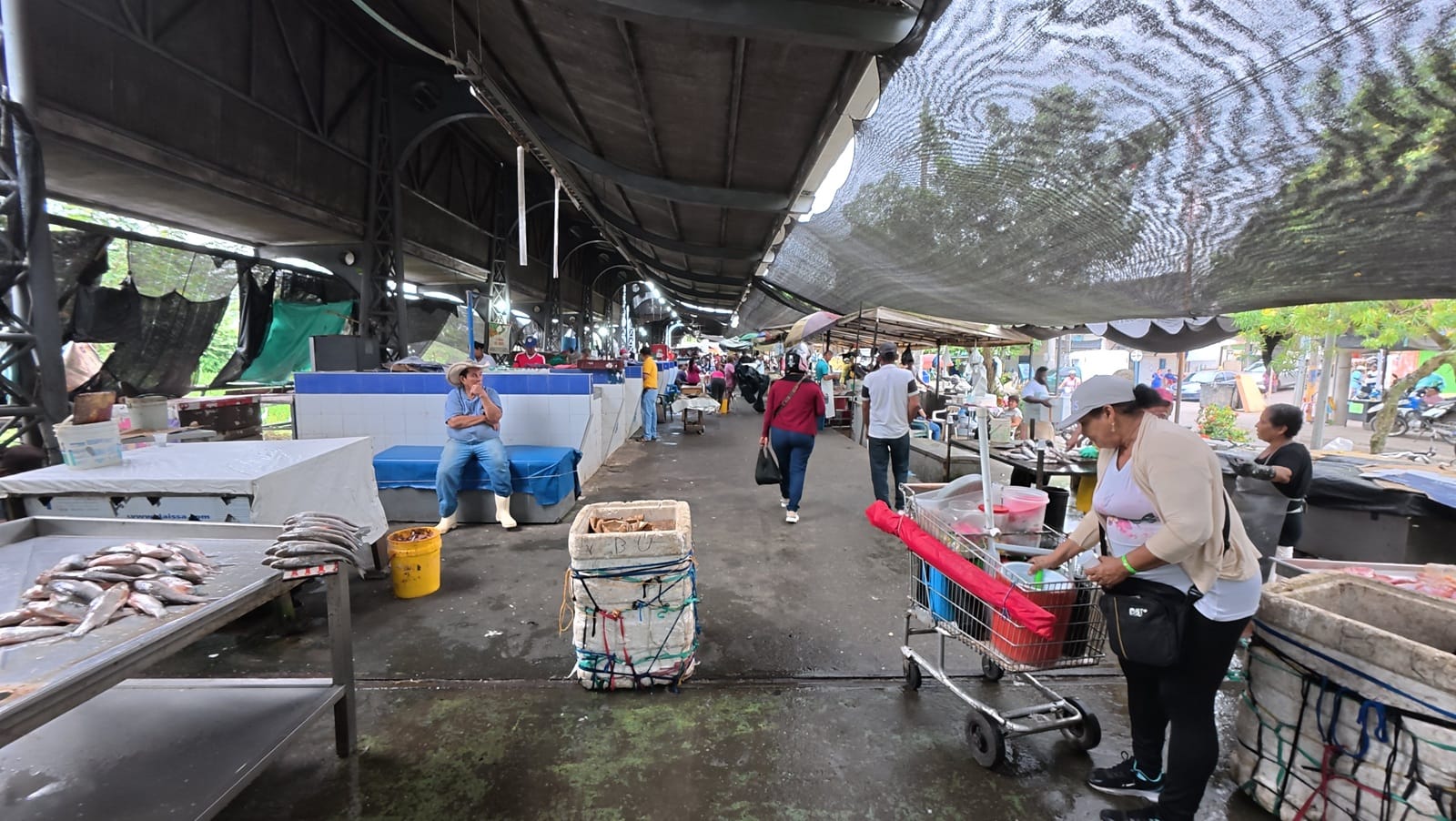Operativos en el mercado de Barrancabermeja dirigidos a prevenir riesgos para la salud
