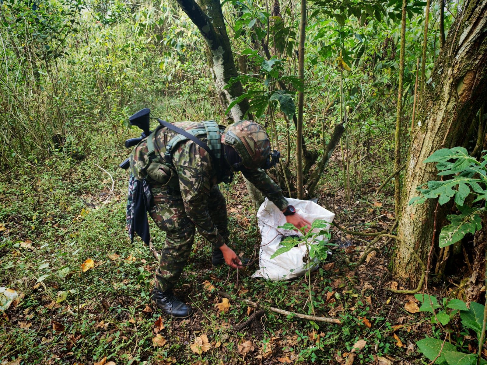 Ejército neutraliza poderoso arsenal de explosivos del ELN en Norte de Santander