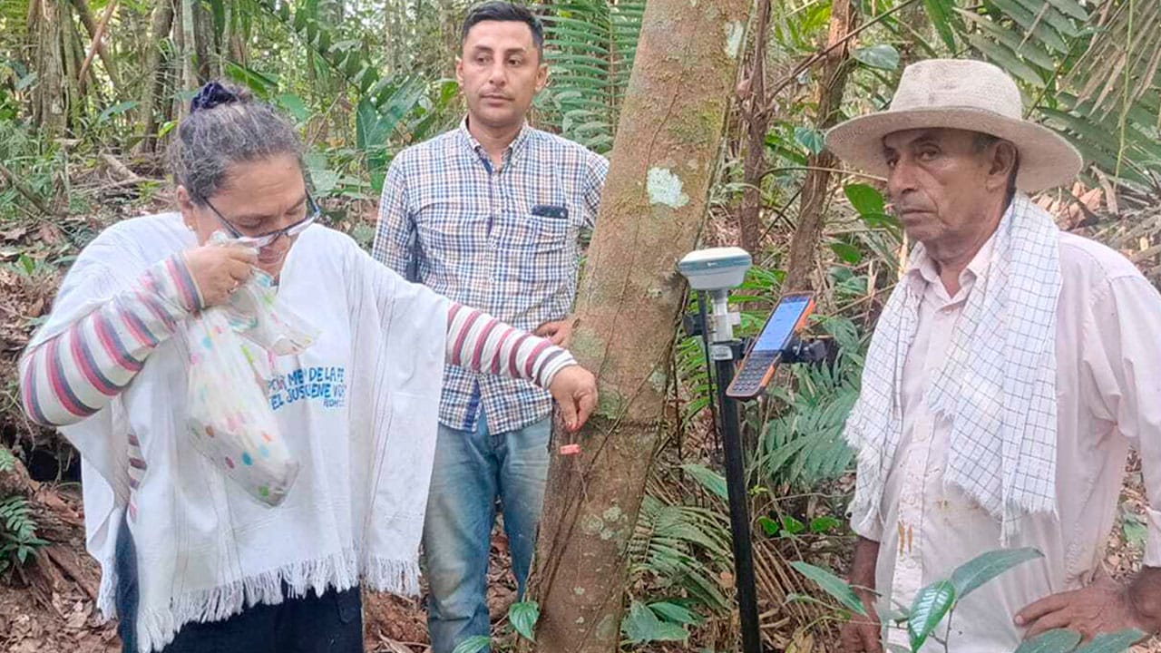 2 mil 700 hectáreas, la restitución más grande a una familia campesina desplazada por paramilitares