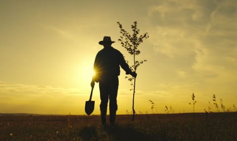 ABC de la justicia agraria, la jurisdicción que caminará de la mano de los campesinos
