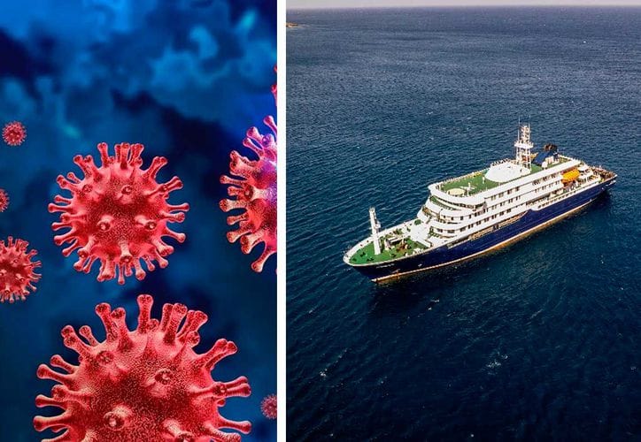 ¿Virus con 50% de letalidad? OMS confirma cepa Andes en crucero