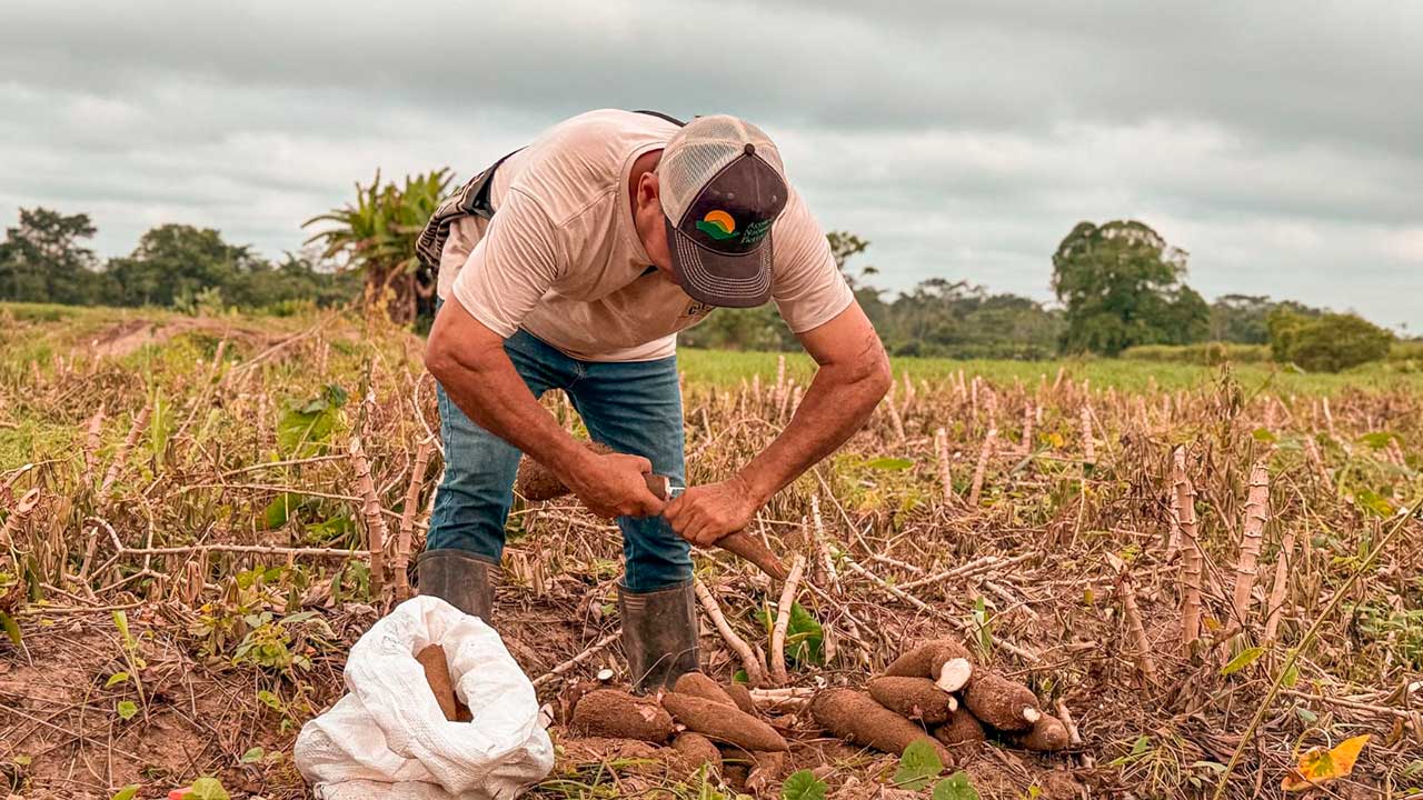 Quieren quitarle a la nación la herramienta clave para impulsar la Reforma Agraria: ministra de Agricultura