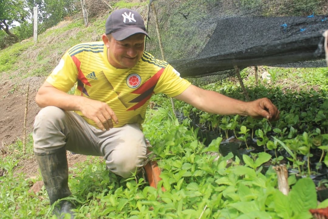 Inversión histórica para incentivar el campo santandereano