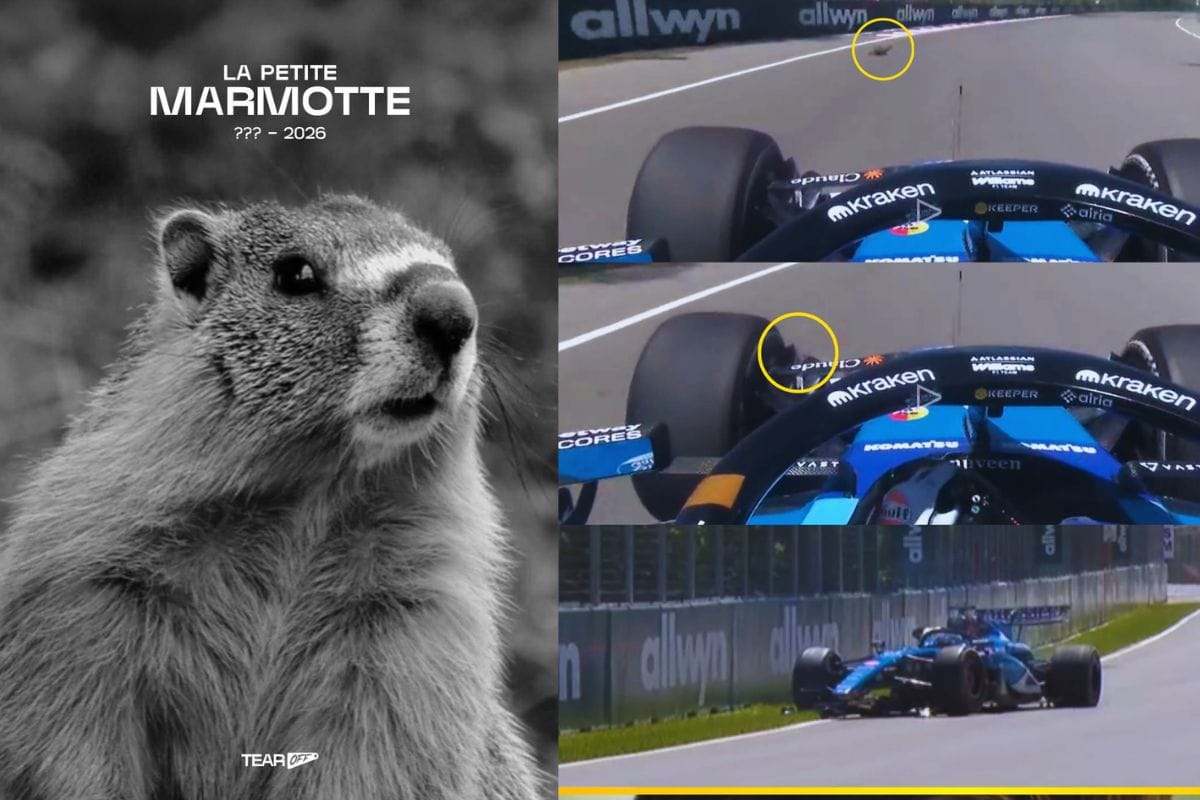 Una marmota provocó accidente de Alex Albon en la práctica libre del GP de Canadá de Fórmula 1