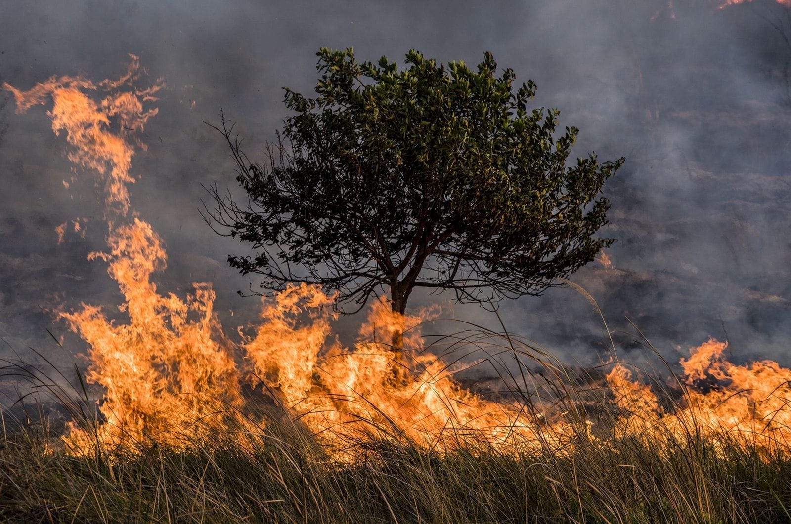 Extendida por seis meses más la calamidad pública debido a la crisis climática en Santander