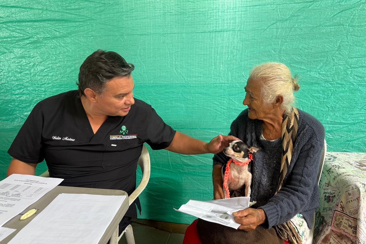 Crece población de felinos y caninos con atención especializada en Santander