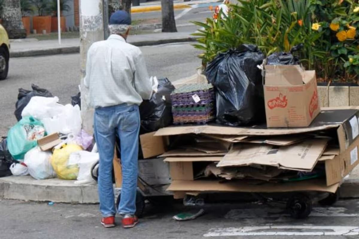 Recicladores formalizados tiene directorio de contacto