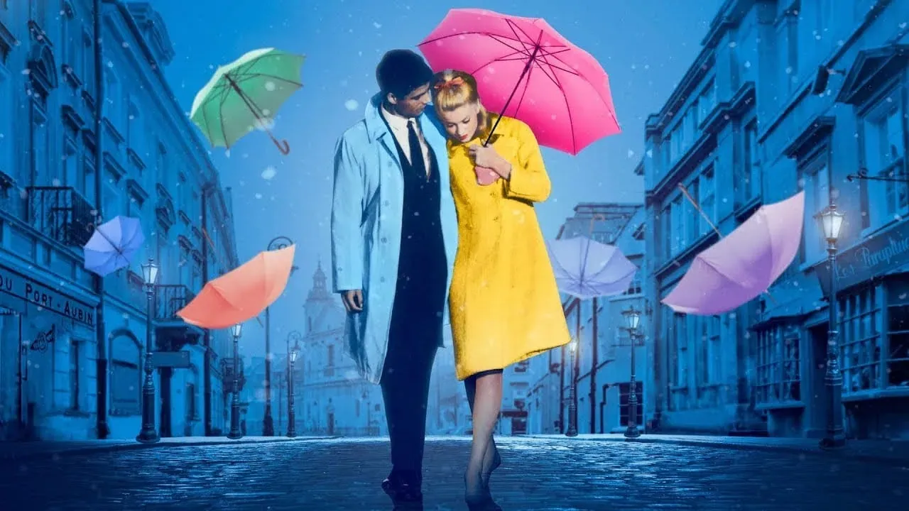 Cultura del cine en Alianza Francesa de Bucaramanga