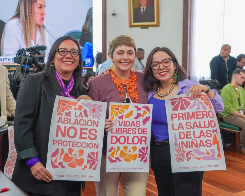 Lista prohibición de la mutilación genital femenina: ¿cómo van a hacer para que el objetivo de prevenir la tortura contra las niñas no se convierta en letra muerta?