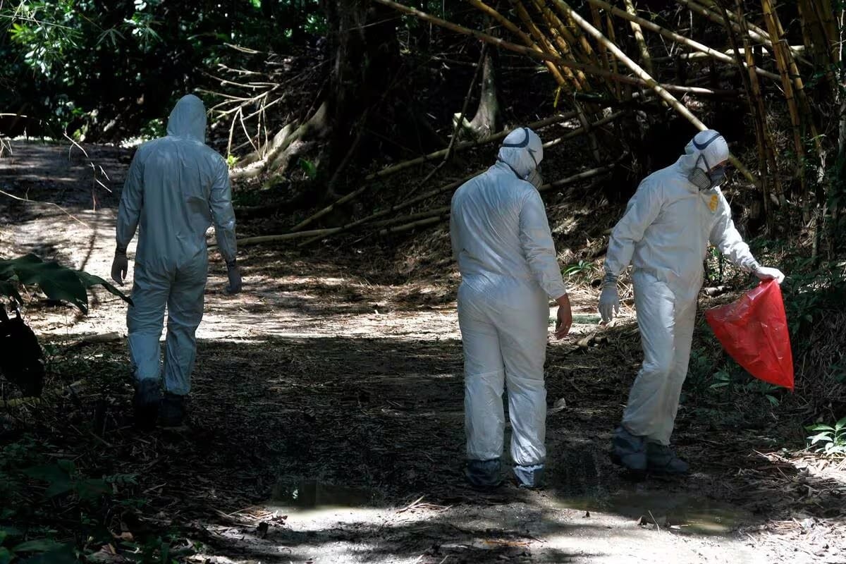 Hallan cuerpo en avanzado estado de descomposición en zona rural de Cúcuta
