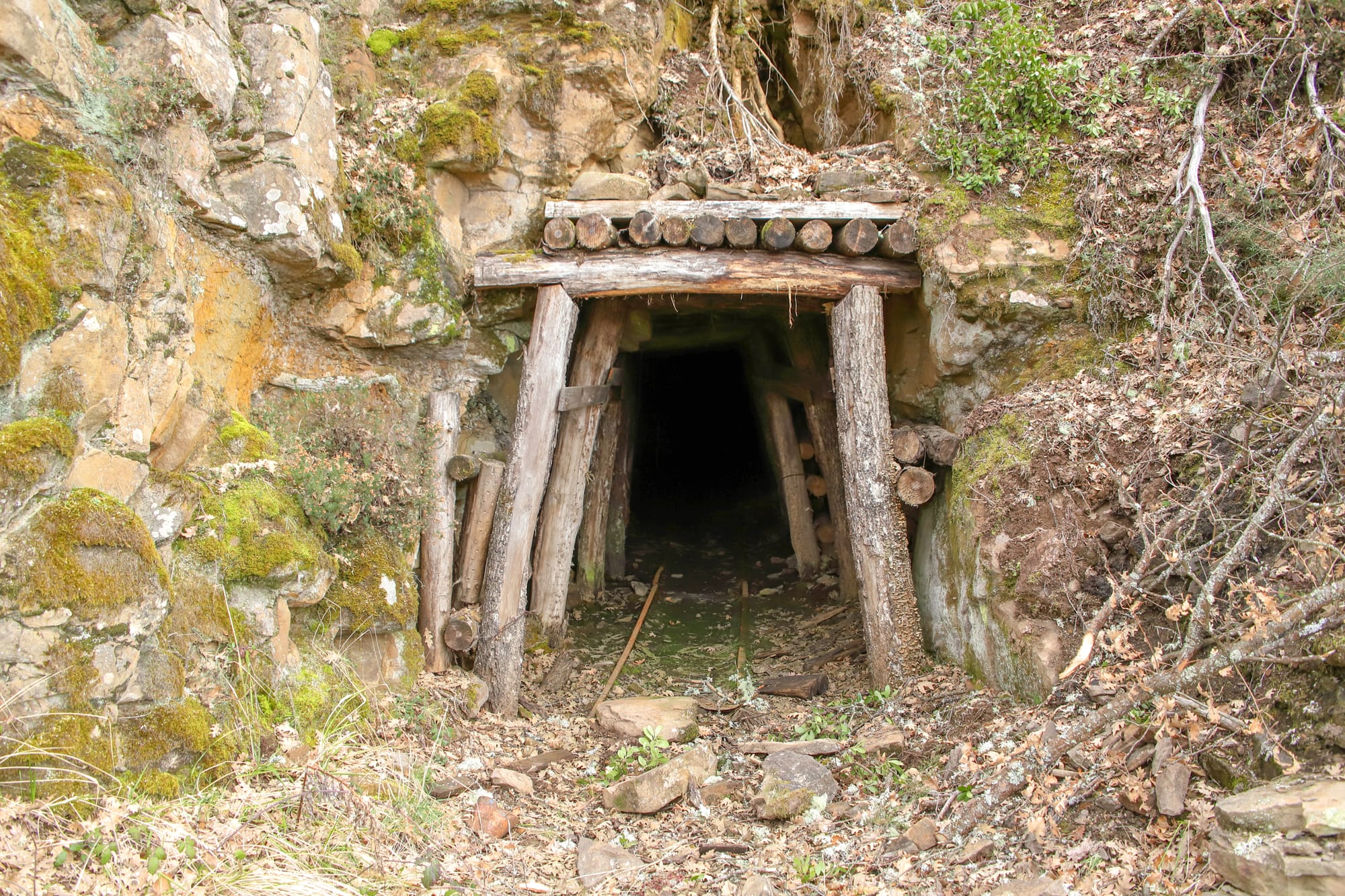"Gobierno Petro le entregó el páramo de Santurbán a la minería criminal"