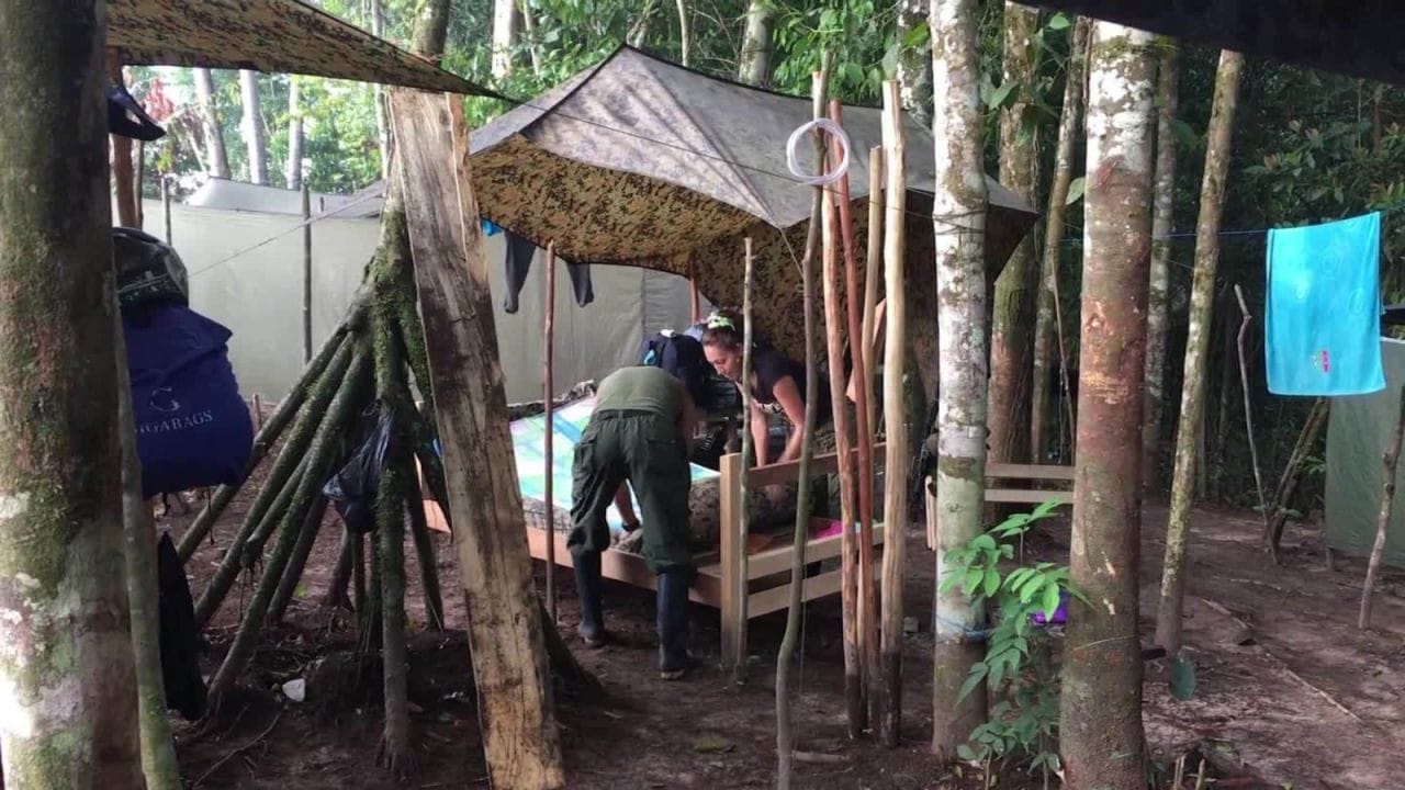 Ante la JEP jefes de las extintas Farc están confesando sus delitos relacionados con violencia sexual y tortura ¿Lo contarán todo?