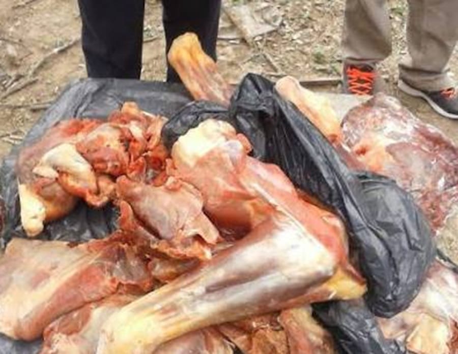 Atentado a la salud de los bumangueses con carne de caballo en pésimas condiciones de salubridad