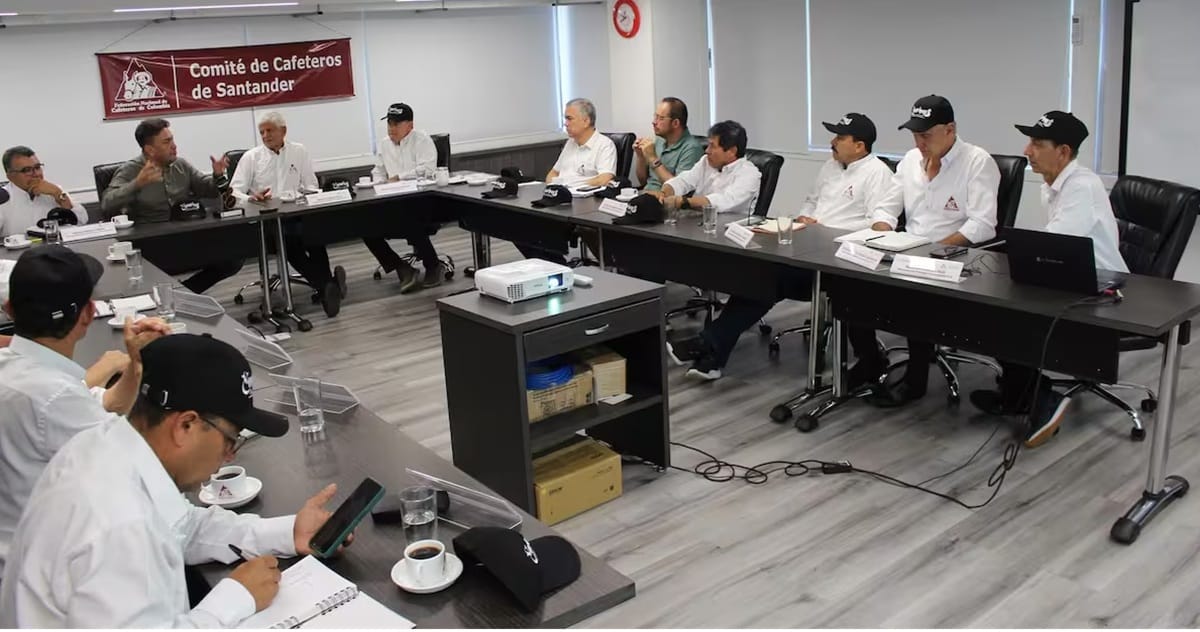 Primera alianza cafetera de  Santander en Confines