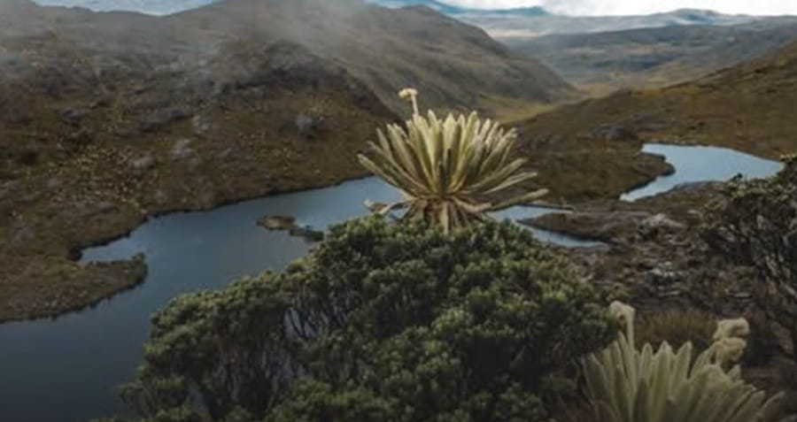 MinAmbiente propone delimitación progresiva del Páramo Santurbán
