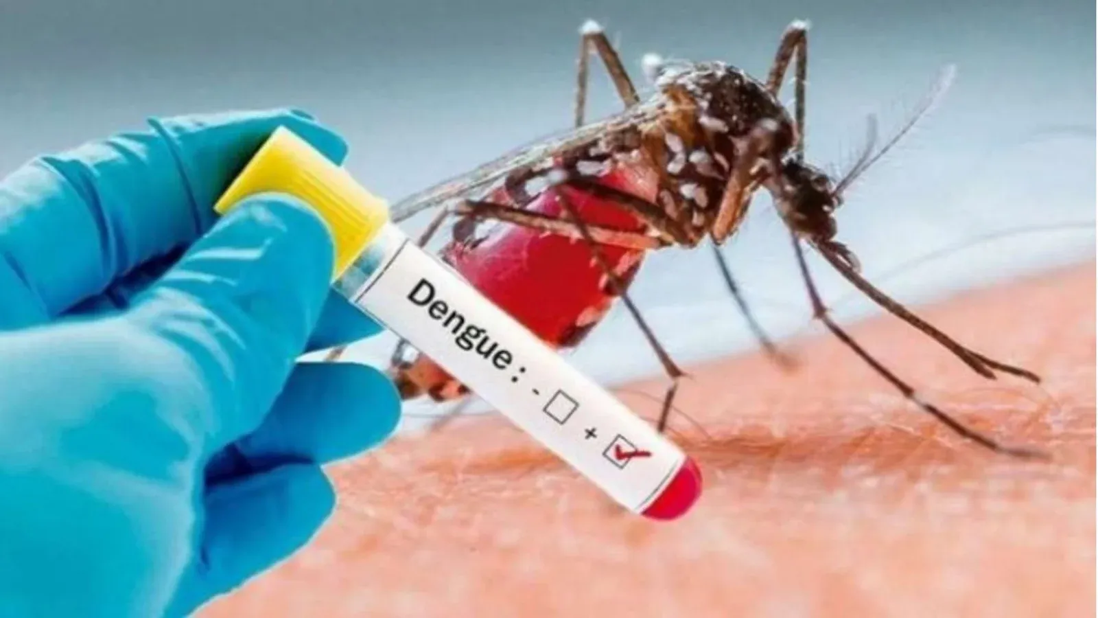 Santander reduce en 47 % los casos de dengue durante 2026