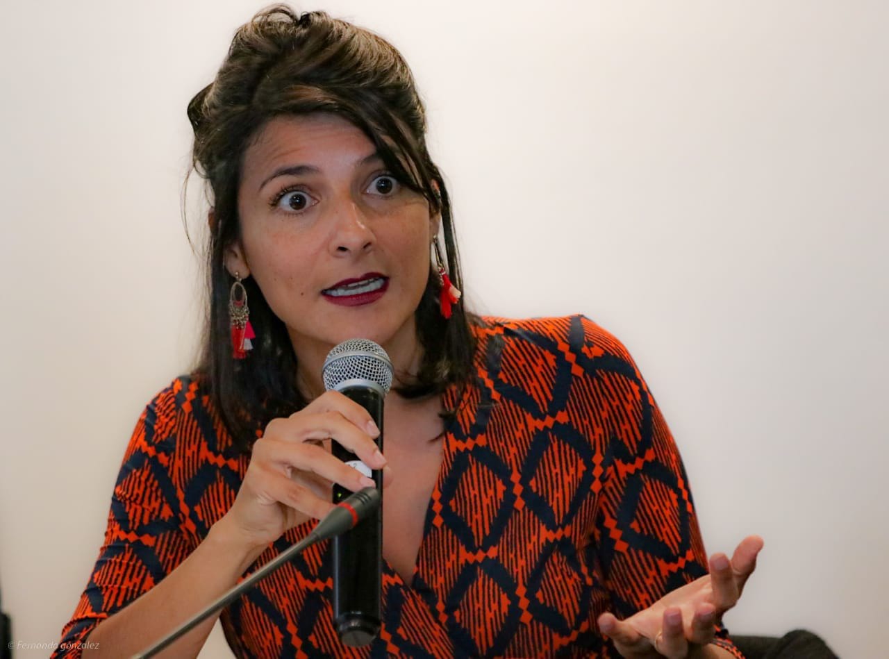 No hubo nada turbio relacionadas con la delimitación del Páramo de Santurbán dijo la Ministra Irene Vélez