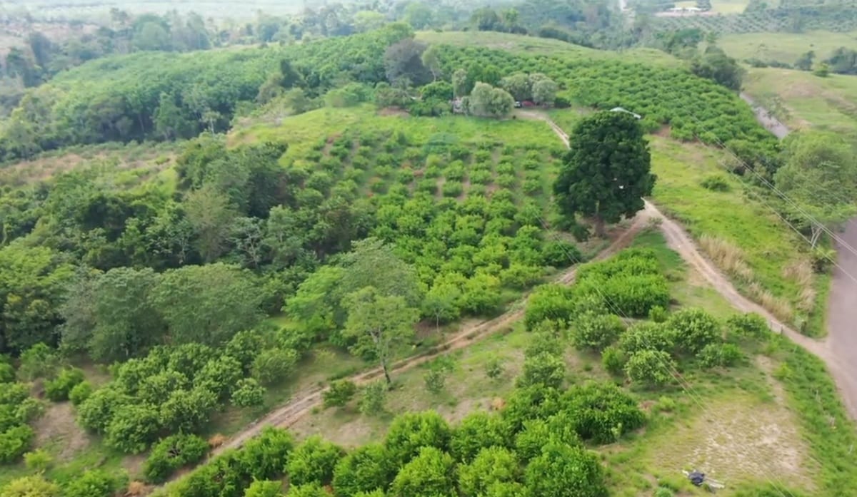 Buscan predios para reforestar el Magdalena Medio con conservación y restauración ecológica
