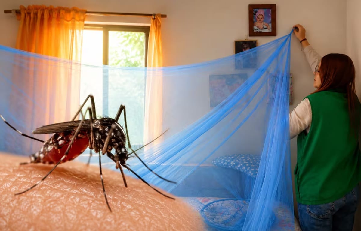 Disminuyen contagios de dengue en Santander pero aún hay un alto número de enfermos