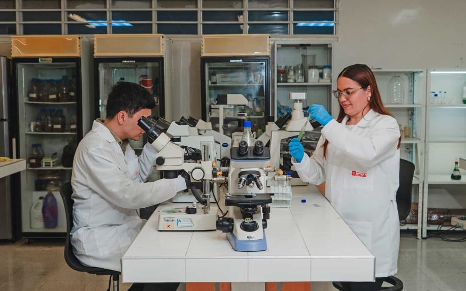 UNAB lanza programa técnico para fortalecer la gestión ambiental en las empresas