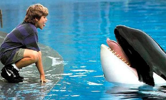 ‘Liberen a Willy’ tendrá una nueva versión cinematográfica