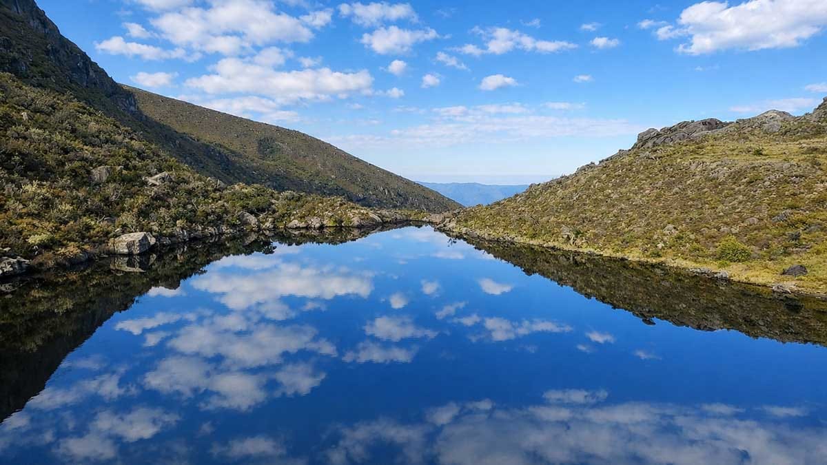 California (S) rechaza nuevas resoluciones del Ministerio de Ambiente referentes al Macizo de Santurbán