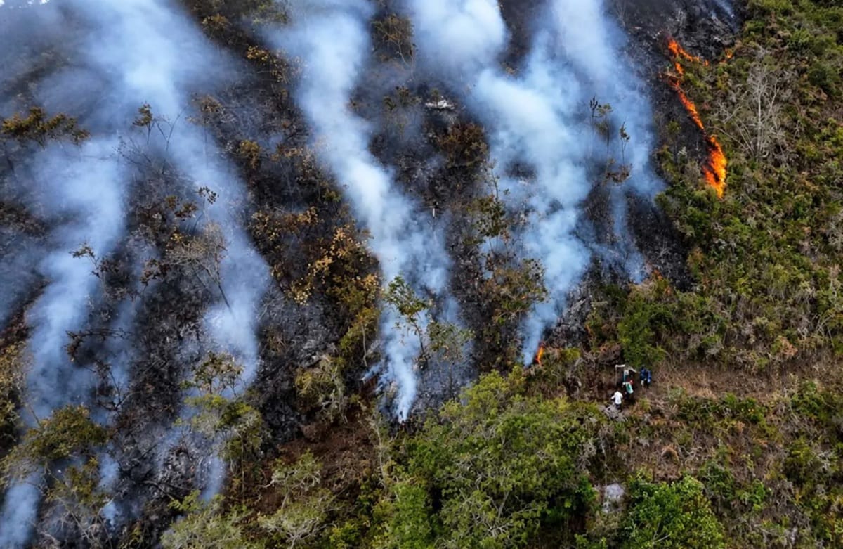 Organismos de socorro completan cuatro días de lucha contra incendio forestal en Charta