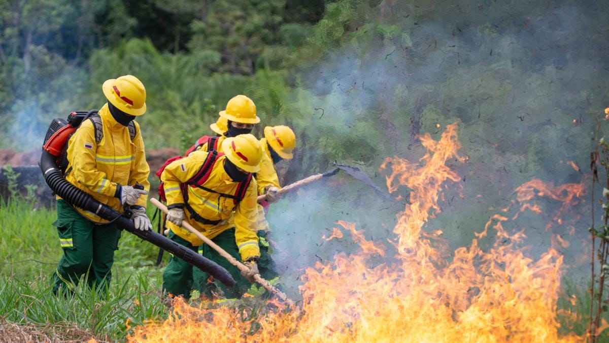 Arde la vegetación en cinco departamentos de Colombia