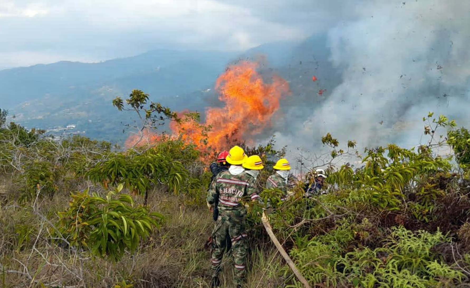 Santander en alerta: Bomberos activa plan de choque ante el aumento de incendios forestales