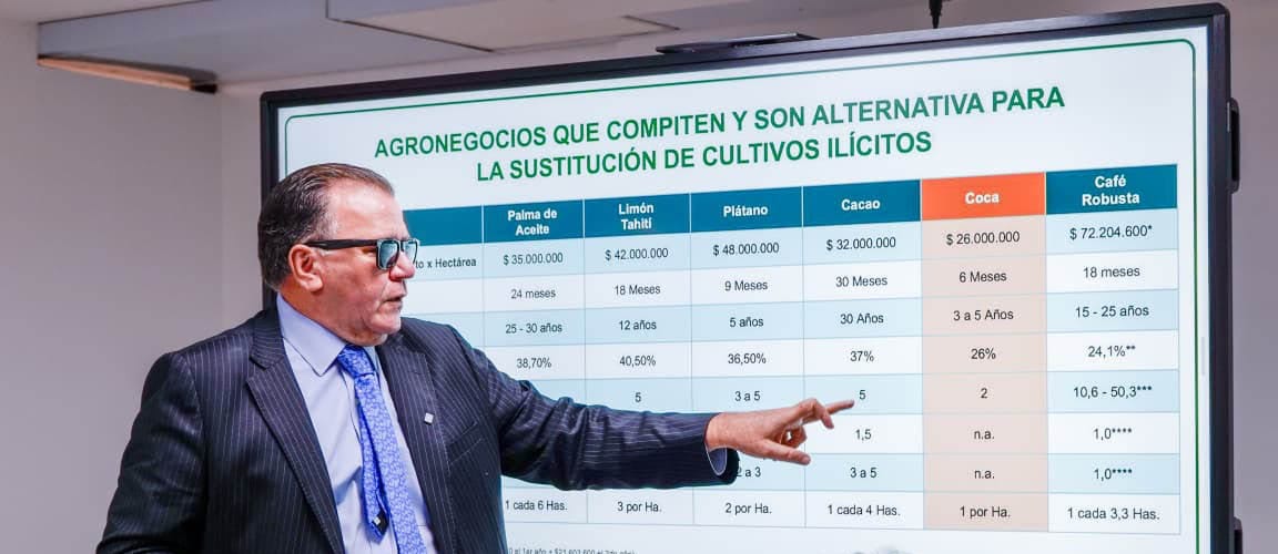 Con cacao se complementará lucha para erradicar cultivos ilícitos en Colombia