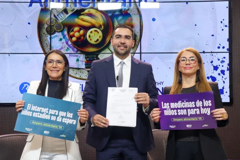 Cuotas alimentarias: proyecto de ley busca agilizar su pago con tiempos similares a los de una tutela