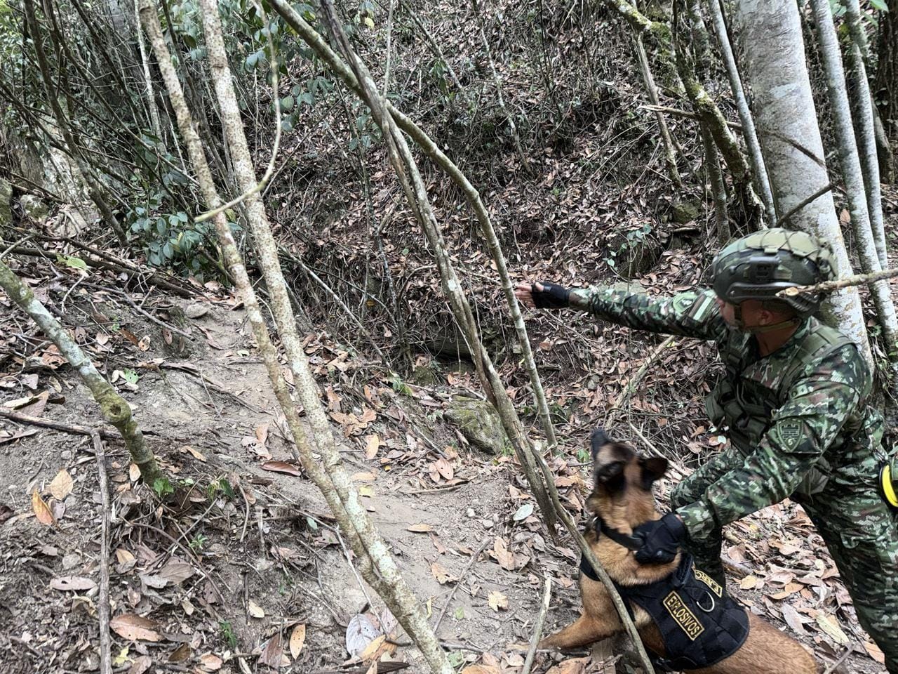 250 kilos de explosivos ocultaba ELN en Charta